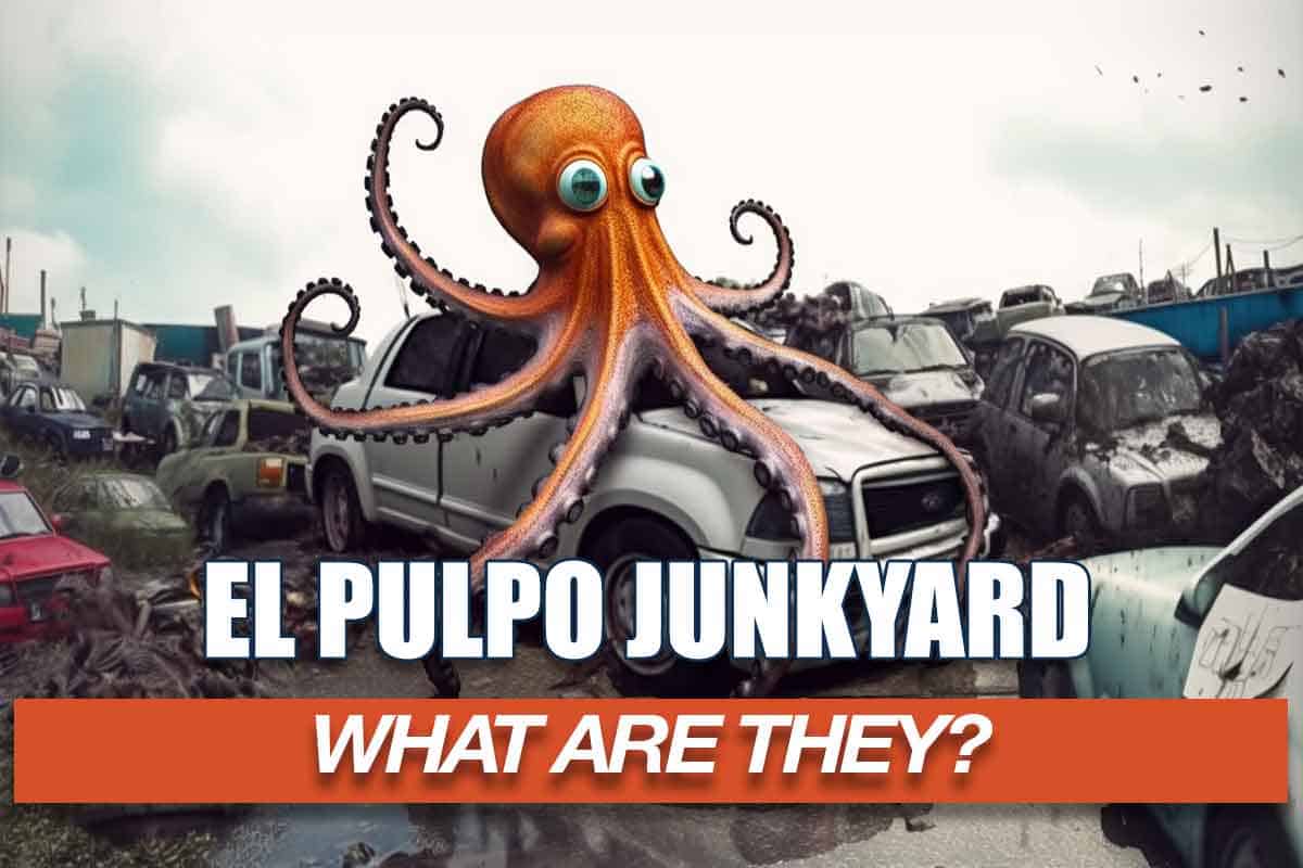 WHAT IS EL PULPO JUNKYARD